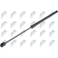 NTY AE-CH-038 Gasveer achterklep