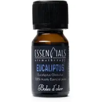 Boles d'olor Essencials geurolie 10 ml - Eucalyptus