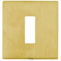 HDD pro Sleutelplaatje Square 48 Mm Mat Messing Gepolijst