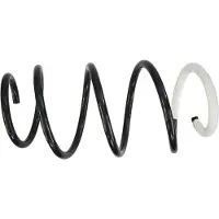 SACHS Spiraalveer 993 145