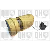 Quinton Hazell QFP845 Brandstofpomp