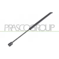 PRASCO FT4209055 Gasveer achterklep
