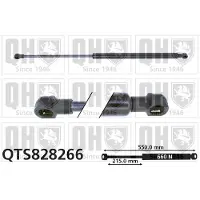 Quinton Hazell QTS828266 Gasveer achterklep
