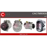 Casco CAC75053GS Aircopomp
