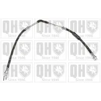 Quinton Hazell BFH6097 Remslang