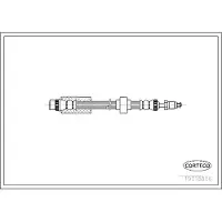 CORTECO 19018886 Remslang