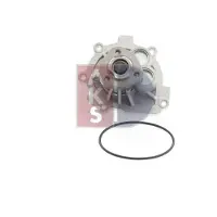 AKS DASIS 570510N Waterpomp