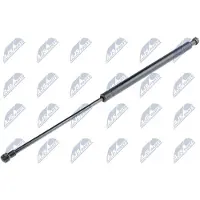 NTY AE-SE-005 Gasveer achterklep