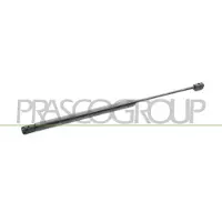 PRASCO FT3409055 Gasveer achterklep