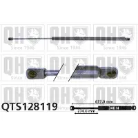 Quinton Hazell QTS128119 Gasveer achterklep