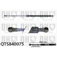 Quinton Hazell QTS840075 Gasveer achterklep