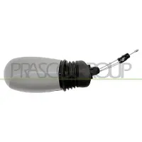 PRASCO Buitenspiegel FT1337124