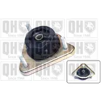 Quinton Hazell EMR6010 Veerpootlager