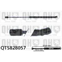 Quinton Hazell QTS828057 Gasveer achterklep