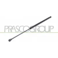 PRASCO DS7109055 Gasveer achterklep