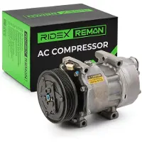 RIDEX 447K0405R Aircopomp