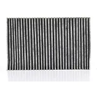 BSG 90-145-014 Interieurfilter