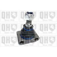 Quinton Hazell QSJ100S Fuseekogel
