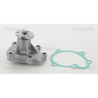 TRISCAN 8600 24054 Waterpomp