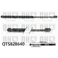Quinton Hazell QTS828640 Gasveer achterklep