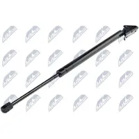 NTY AE-CH-020 Gasveer achterklep