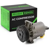 RIDEX 447K0676R Aircopomp