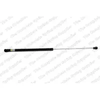 LESJÖFORS 8104207 Gasveer achterklep