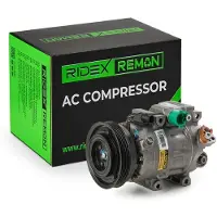 RIDEX 447K0221R Aircopomp