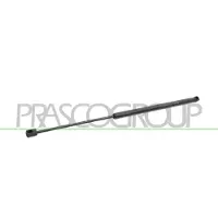 PRASCO FD4249055 Gasveer achterklep