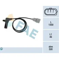 FAE 79064 Krukassensor