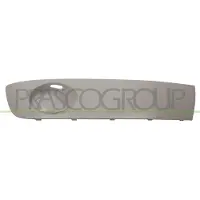 BLIC 6502-07-9568918P Ventilatiegrille, bumper