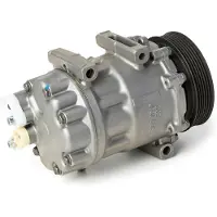 RIDEX 447K0140R Aircopomp