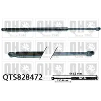 Quinton Hazell QTS828472 Gasveer achterklep