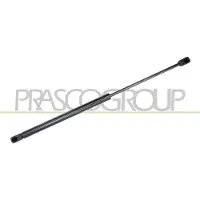 PRASCO FD4269055 Gasveer achterklep