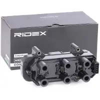 RIDEX 689C0316 Bobine