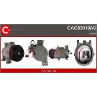 Casco CAC83019AS Aircopomp