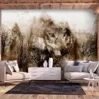 Karo-art Fotobehang - Wolf in de bergen III