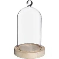 Packlinq Glazen stolp met glazen knop met houten basis Ø10 h.17 cm (1 st)