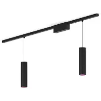 Philips Perifo Basisset Voor Recht Plafond (2 Hanglampen)