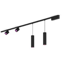 Philips Perifo Basisset Voor Recht Plafond (2 Spots, 2 Hanglampen)