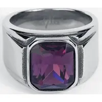 EtNox hard and heavy - Gothic Ring - Simply Purple - zilverkleurig - Maat 59