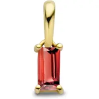 The Jewelry Collection 14K geelgoud hanger met geboortesteen 4027207
