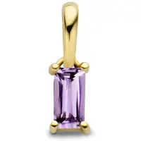 The Jewelry Collection 14K geelgoud hanger met geboortesteen 4027206