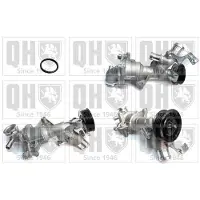 Quinton Hazell QCP3962 Waterpomp