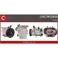 Casco CAC78123GS Aircopomp