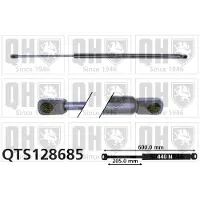 Quinton Hazell QTS128685 Gasveer achterklep