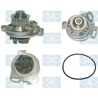Saleri SIL PA620P Waterpomp