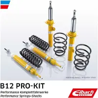 EIBACH E90-25-001-05-22 Schokdemper met veer