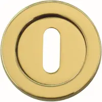HDD pro Sleutelplaatje Rond Draairozas Messing Gepolijst