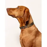 DOGGUO hondenhalsband ZEBRA-COLLAR-BEIGE/BLACK-L